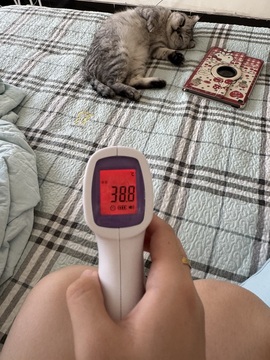 不看刘至的图片