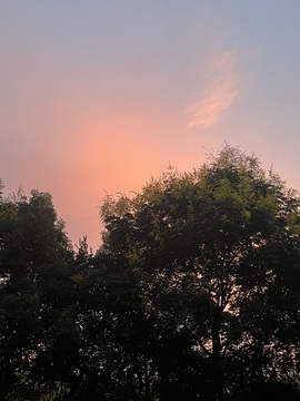 豆芽菜🧚🏻‍♀️的图片