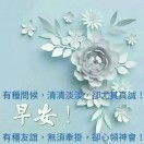 张九九5的头像