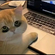 不再沉迷@………的头像