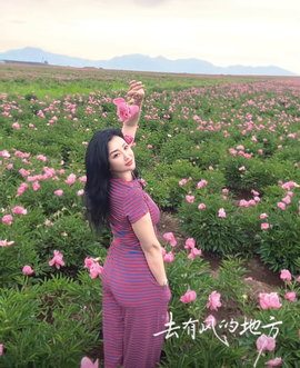 ◇逍遥仙◇主播照片