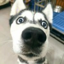 终极斗士9i
