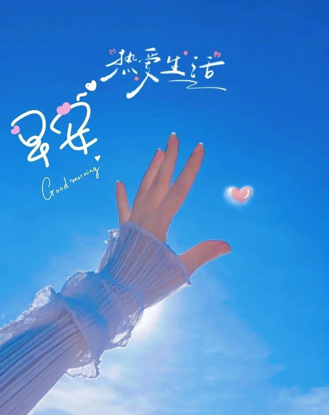 ♬默默✨小蛮宝☞🌜主播图片