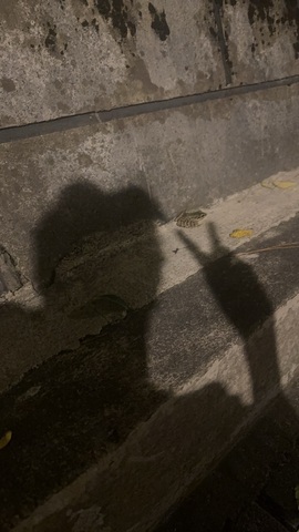 💗巧克力123主播照片