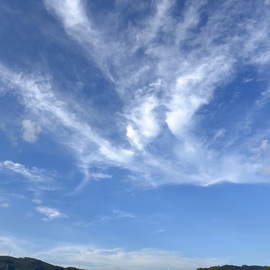 清风暖阳an的图片