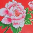 17ijlnqrs!的头像