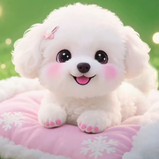 💫静心思语💫