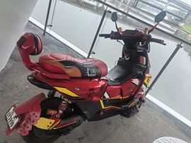 杨子小墨的图片