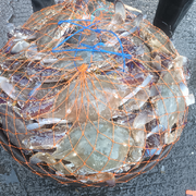 以人为镜～可以明得失