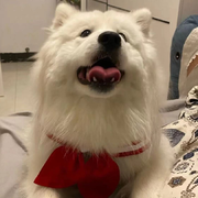 宁静致远💘