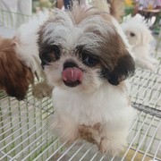 于姐帮你挑宠的头像