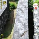 李昱兵