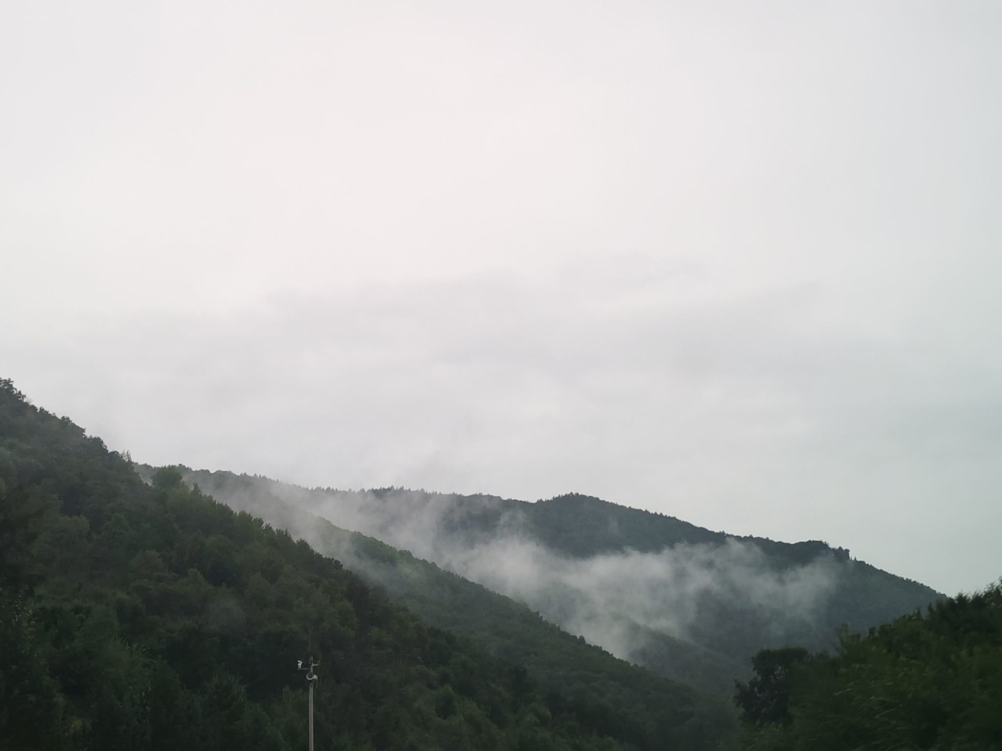 雪er，唱歌的主播照片