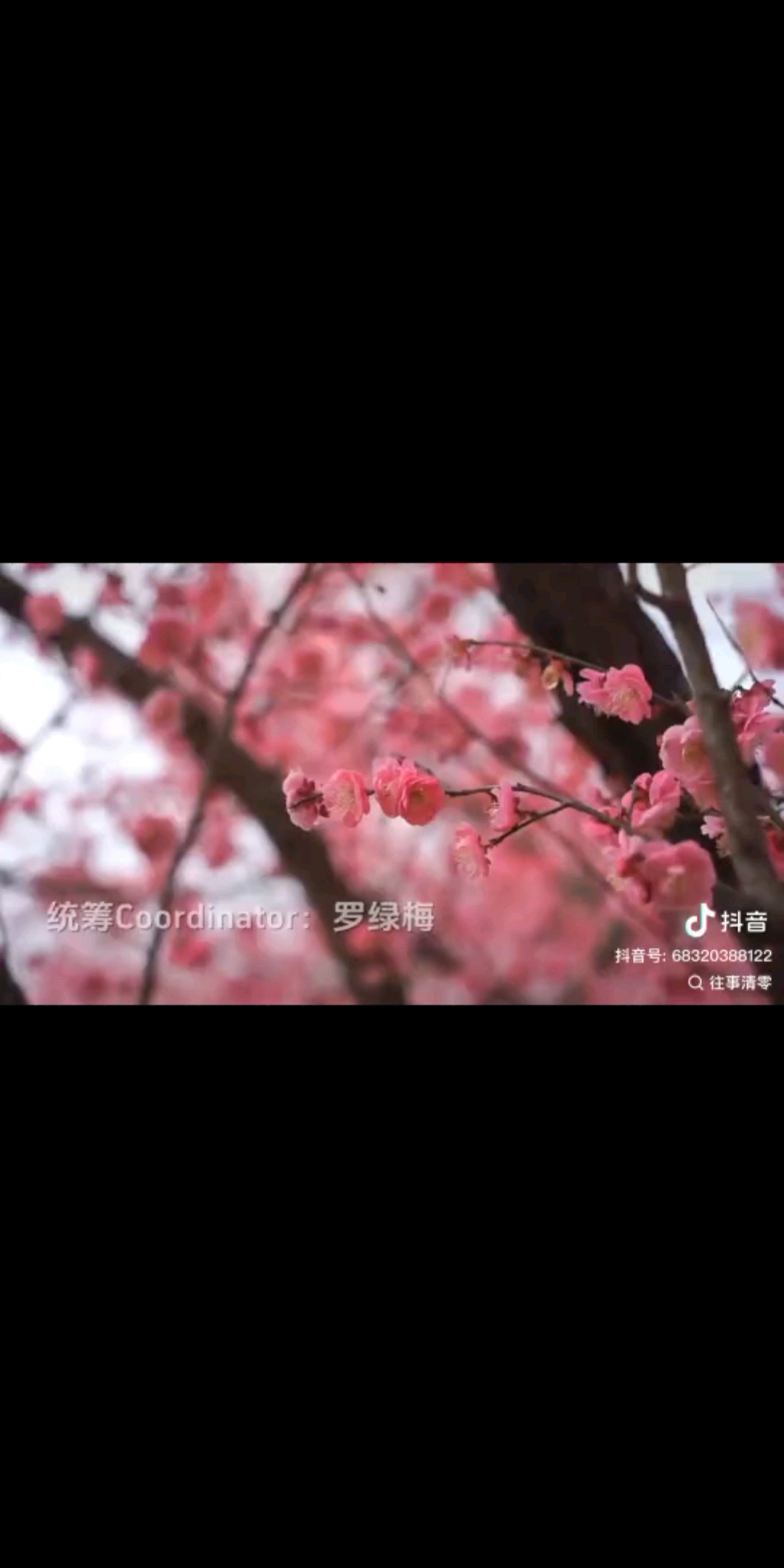 不再联系不再打扰