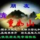 雨中看花x