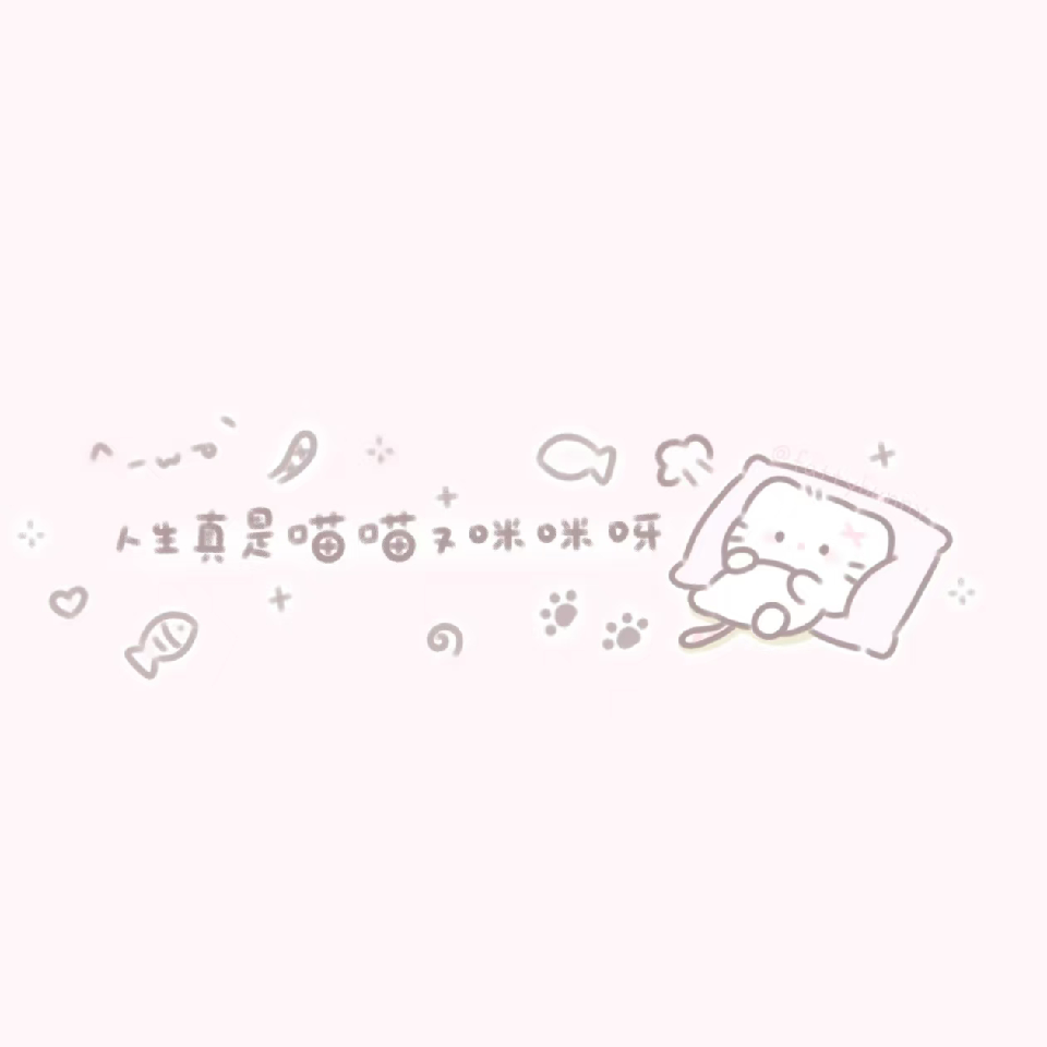 ￡.呆猫海报