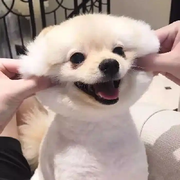 咕叽咕叽叽咕咕