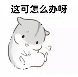 彬彬々无礼的图片