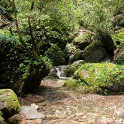 青山绿水…海报