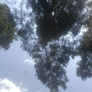 落地房的头像