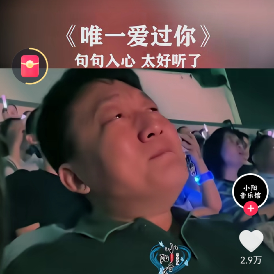六哥哥爱大莲海报