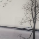 凯伦33
