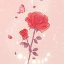 晚晚ra