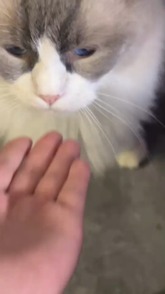 今天有早起锻炼，练完