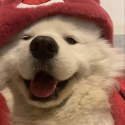 海绵宝宝🐾