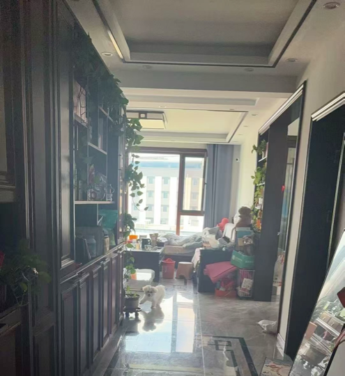 Domi爱吃肉海报