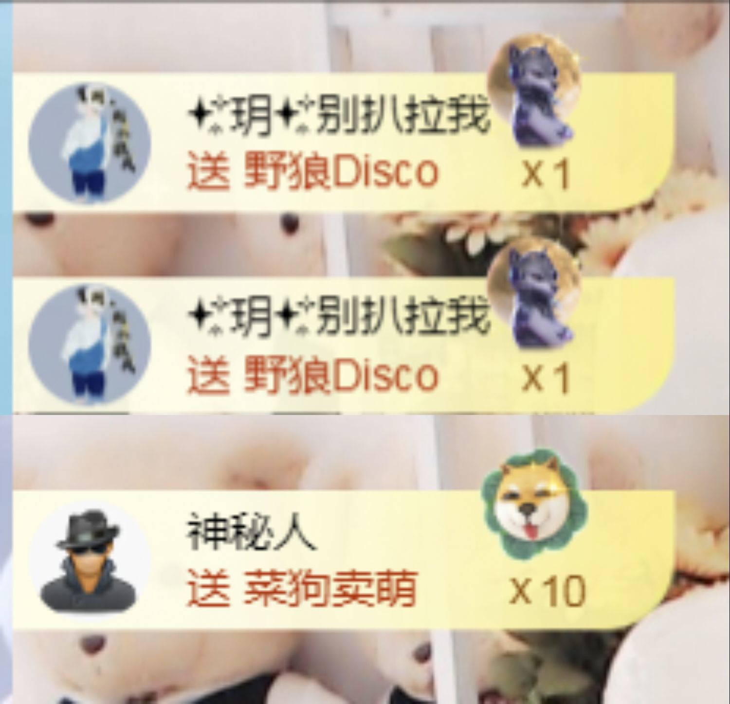 金麒麟安静唱歌🎤主播图片