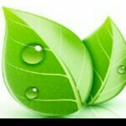 落叶🍃🍃