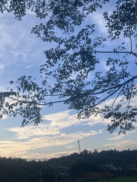 憨宝.天塌了🌻的图片