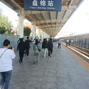萌新宝宝jn8278