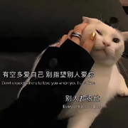乐vv天536