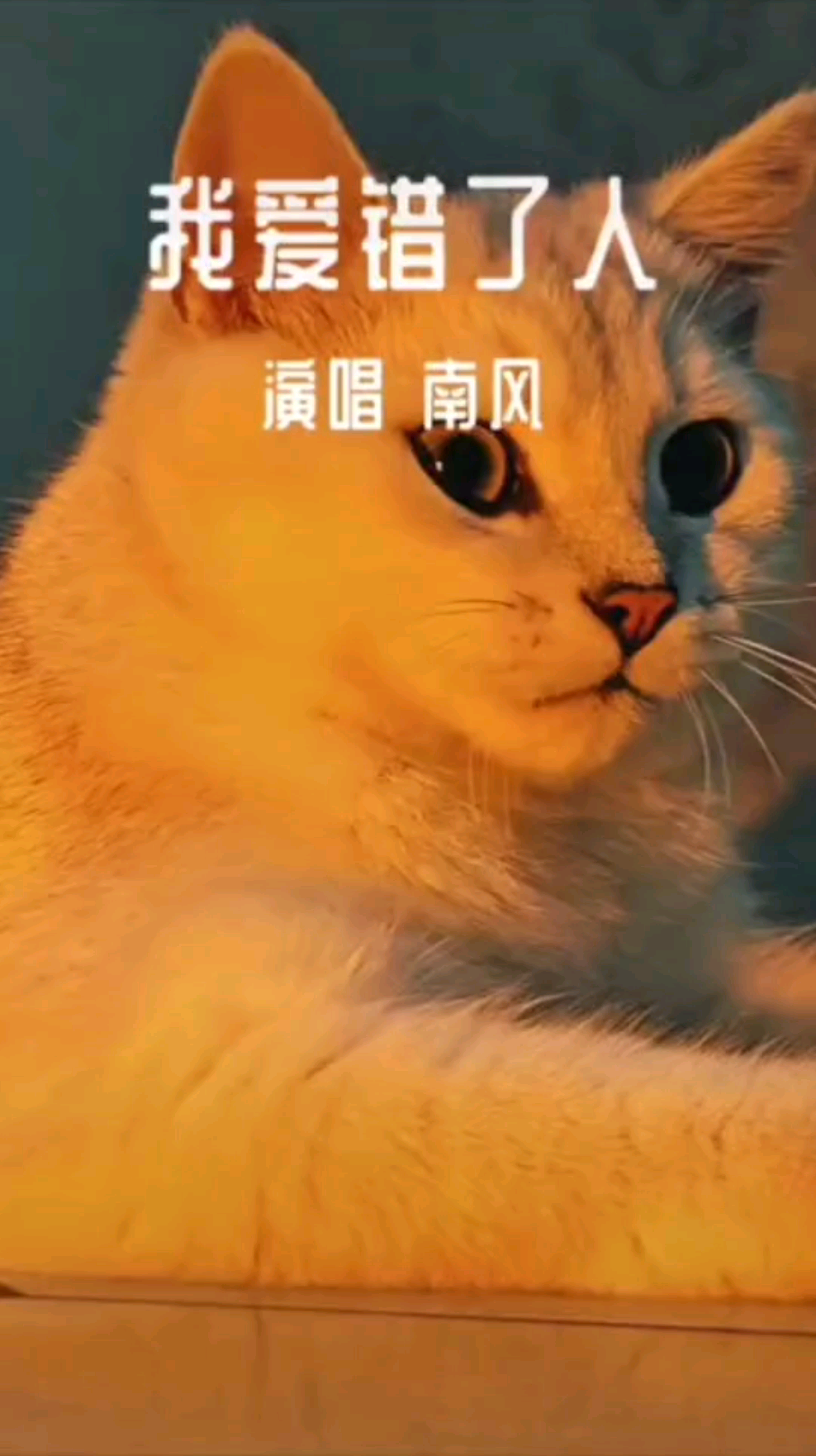 人生除了生死，剩下的