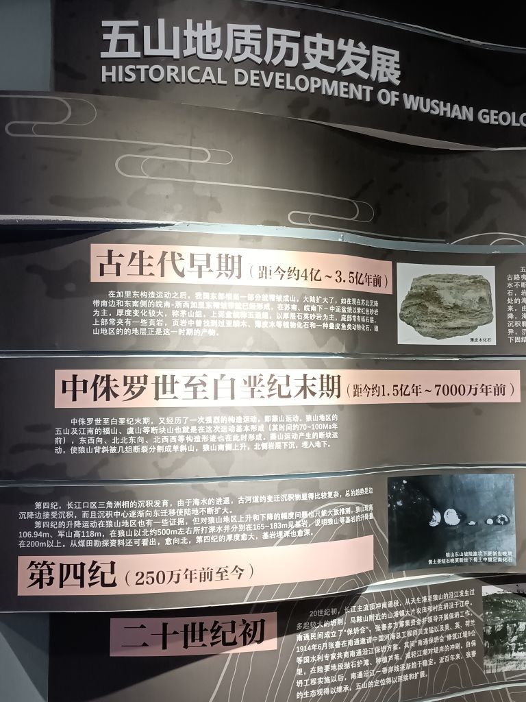 日【♥️】落主播图片