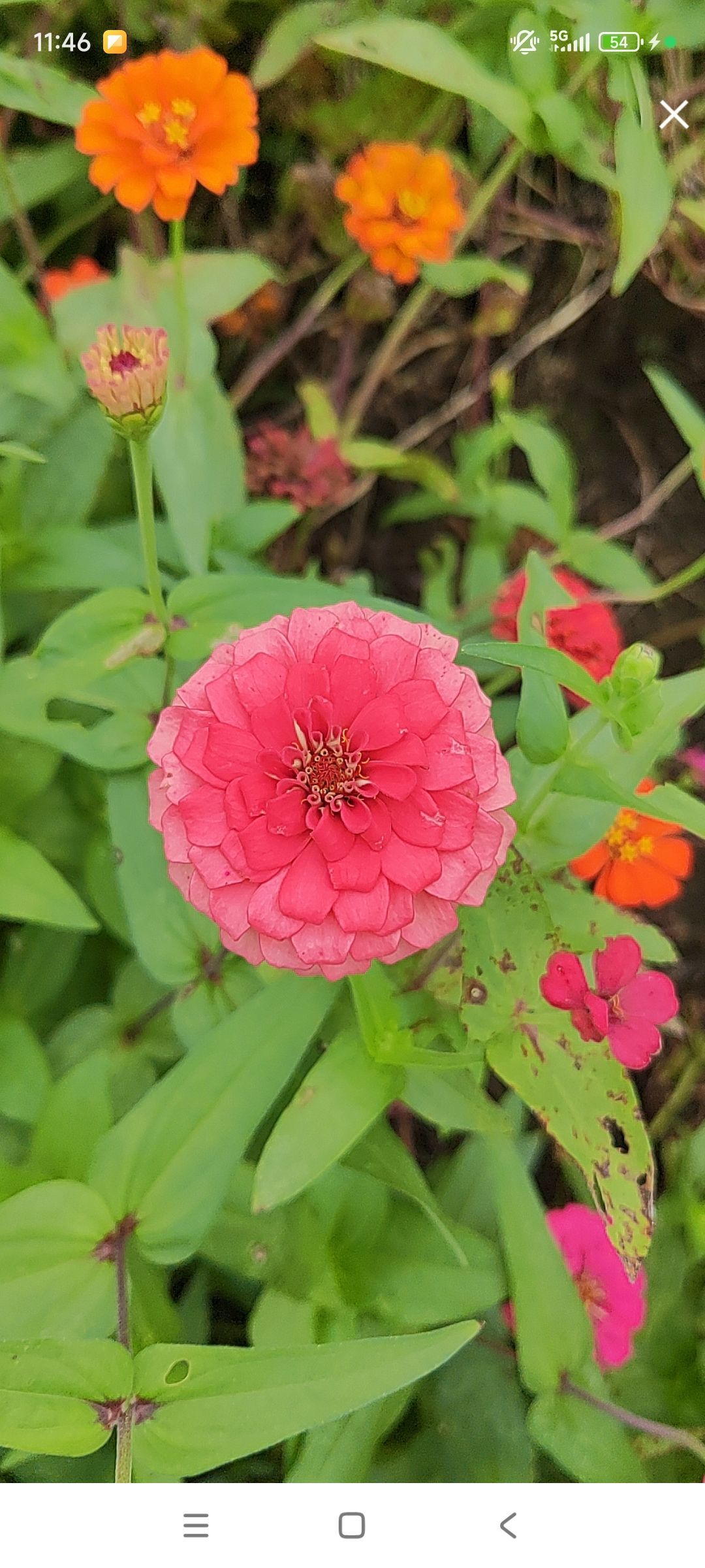 婷婷💕感恩有你陪伴的主播照片