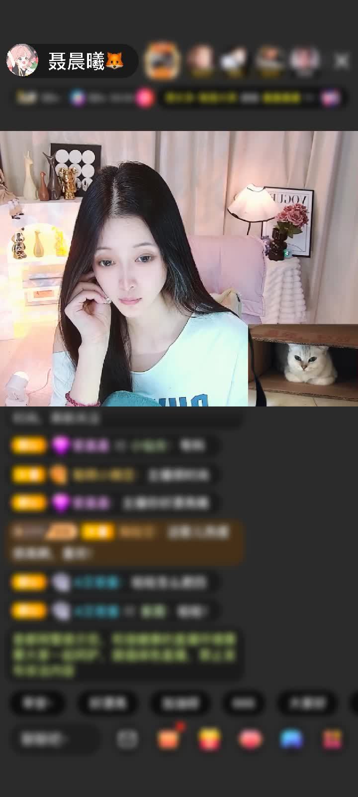 感谢至尊神秘人787赠送梦幻游乐园1个