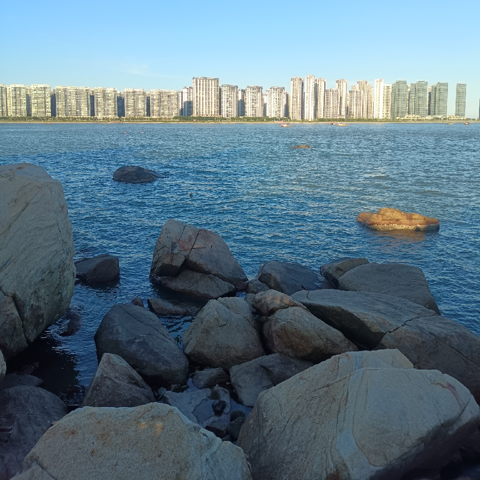 富贵竹的心酸海报