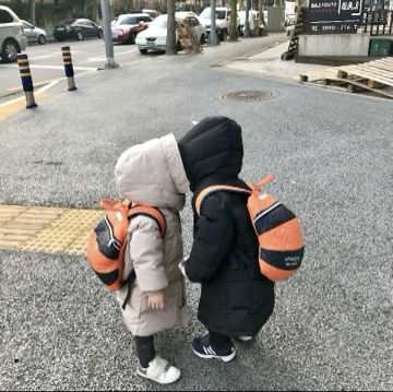孤独的狼32海报