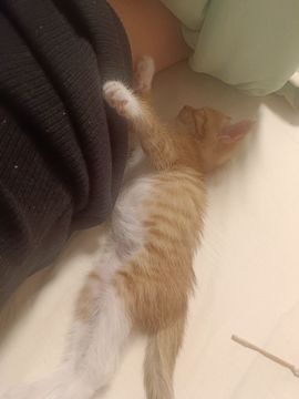 苗宝超级白主播照片