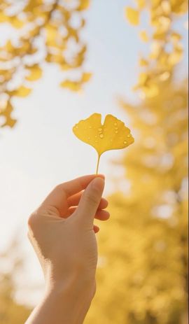 妞妞骑行三亚的图片