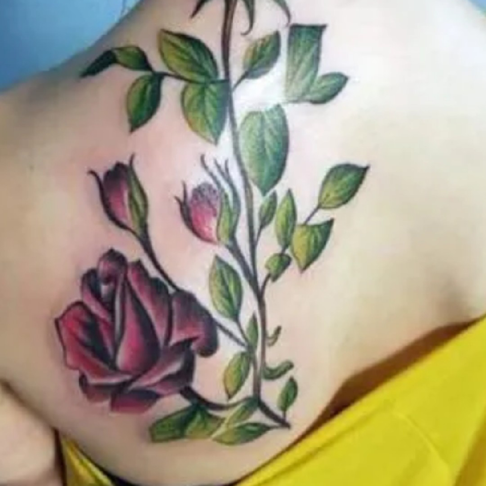念🌹少海报