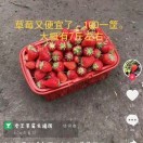 回家看空间h