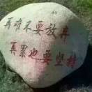 永远开心bb