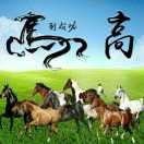 福星高照ki