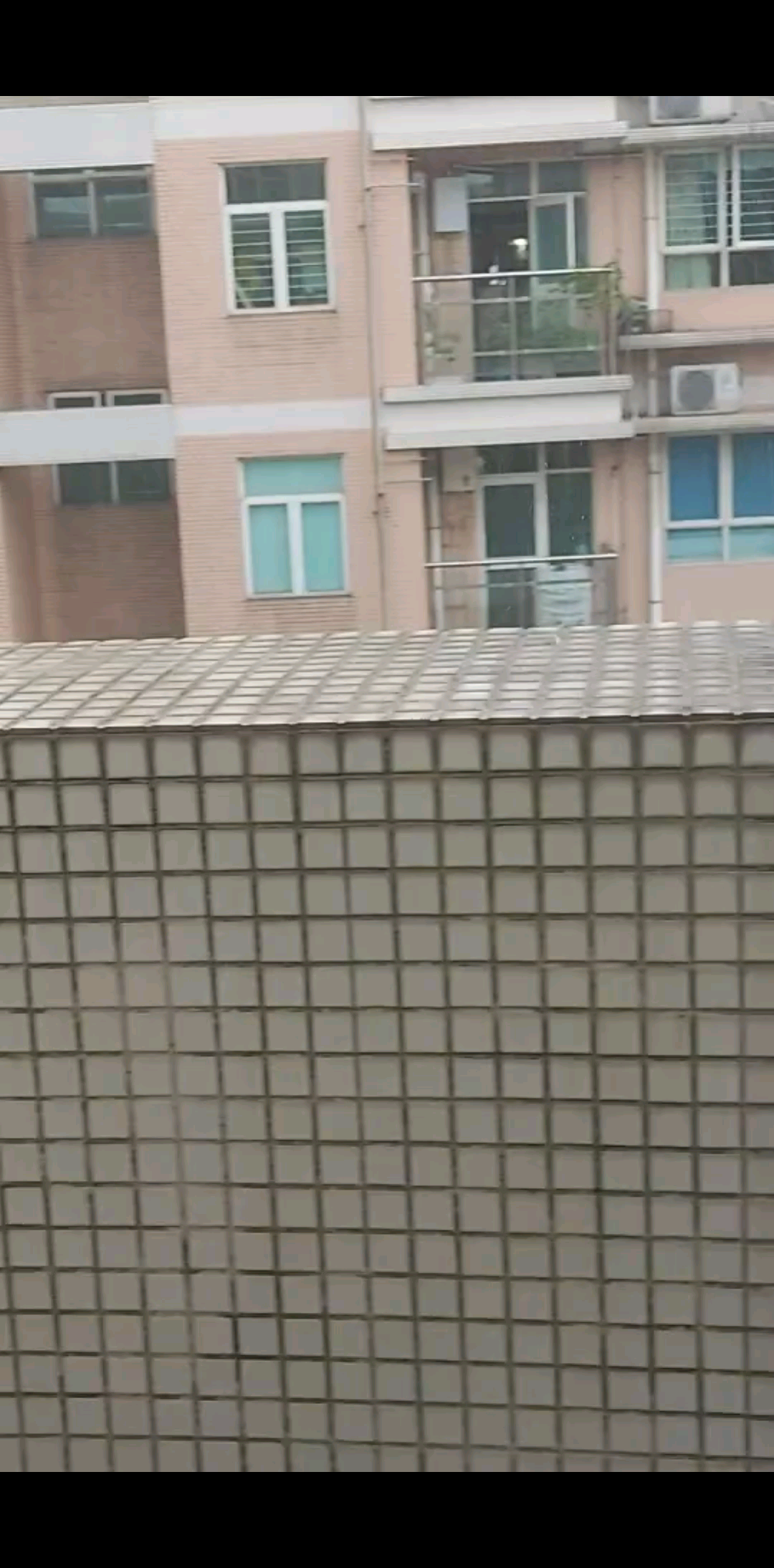 像豆子一样大的雨🌧😂