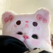 新人小懒