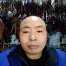 诚实待人z3